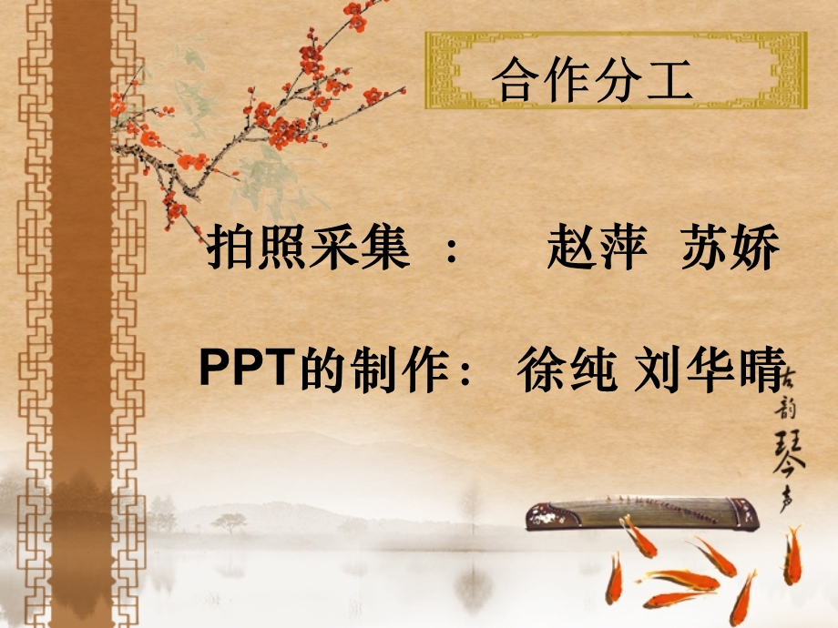 大润发商品陈列分析.ppt_第2页