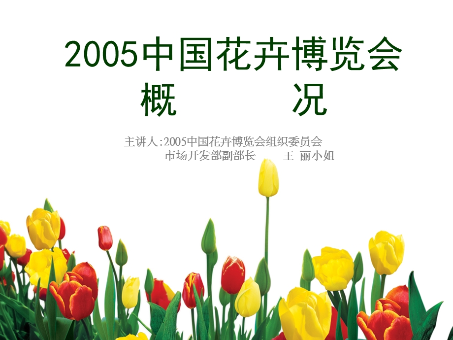 【广告策划PPT】2005花博会.ppt_第2页