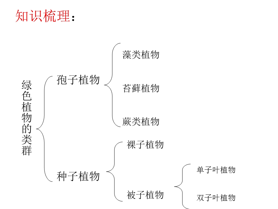 新人教版初中考生物专题复习七级上册第三单元《生物圈中的绿色植物》 .ppt_第3页