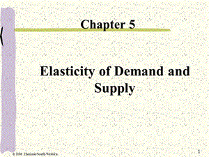 Elasticity of Demand and Supply：需求弹性和供给弹性.ppt