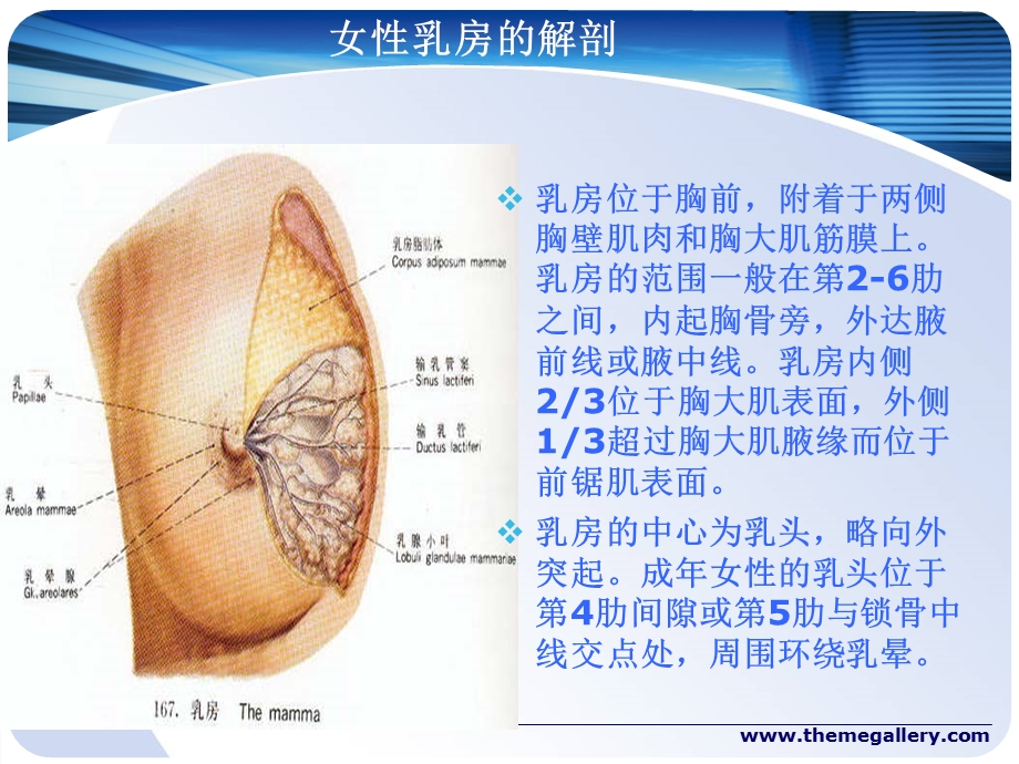 乳腺癌改良根治术护理配合.ppt_第3页