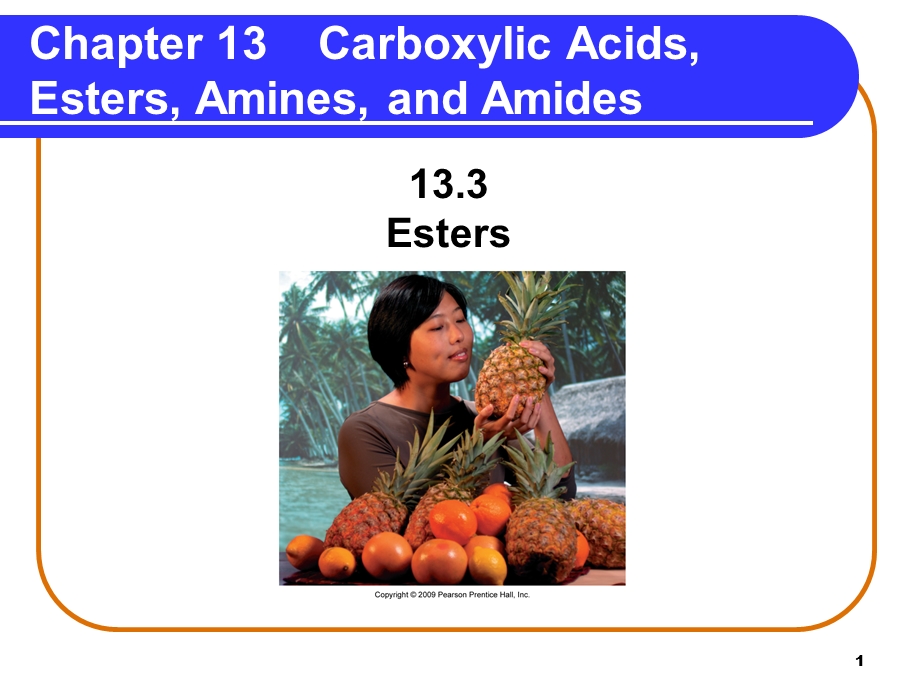 133 Esters.ppt.ppt_第1页