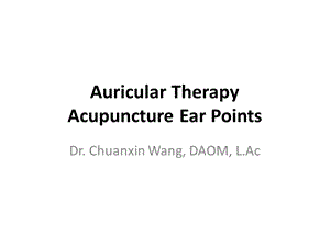 Auricular Therapy - Acupuncture and Massage College：耳穴疗法-针灸推拿学院.ppt