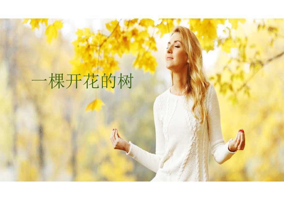 席慕蓉【一棵开花的树】 .ppt_第1页