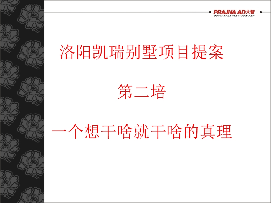 洛阳凯瑞别墅项目提案.ppt_第2页