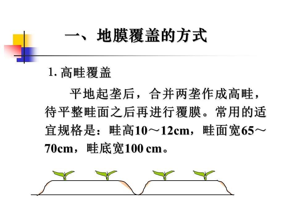 605地膜覆盖技术.ppt_第3页