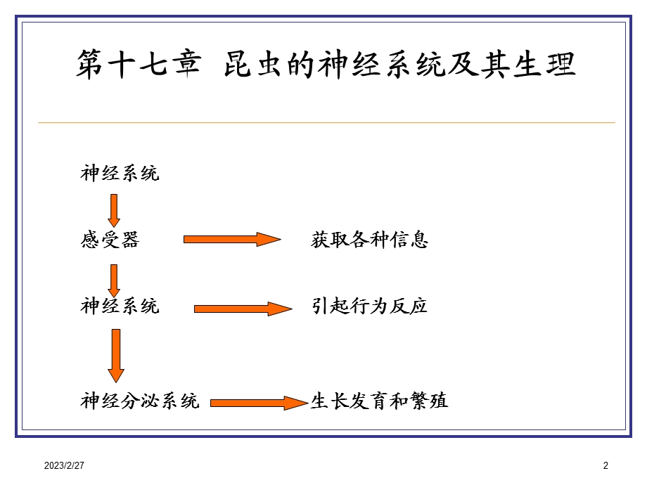 第十七章 昆虫的神经系统.ppt_第2页