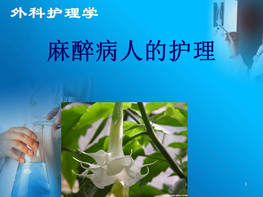 04麻醉病人的护理.ppt1.ppt_第1页