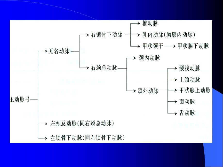 颈动脉超声检查及诊断标准.ppt_第3页