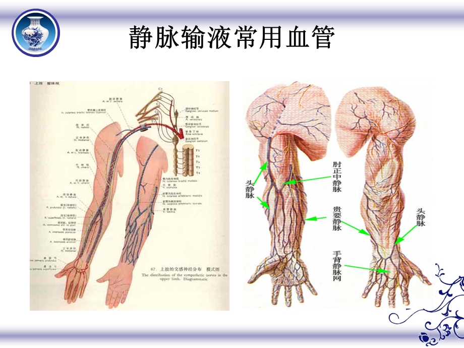 危重病人血管保护.ppt.ppt_第2页