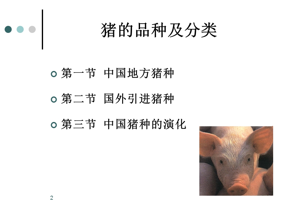 生猪综合知识培训.ppt_第2页