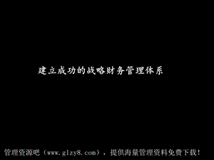 麦肯锡战略财务管理体系.ppt