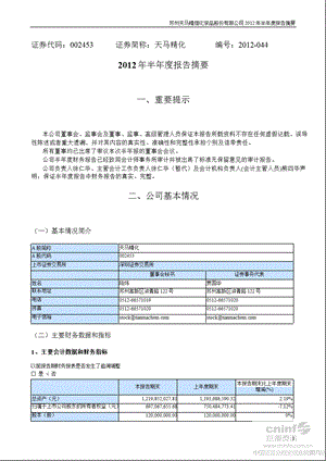 天马精化：半报告摘要.ppt