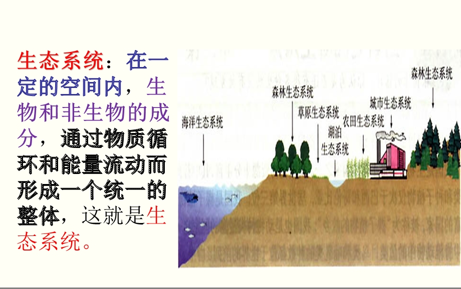 冀教版六级科学上册《动物与能量》PPT.ppt_第2页