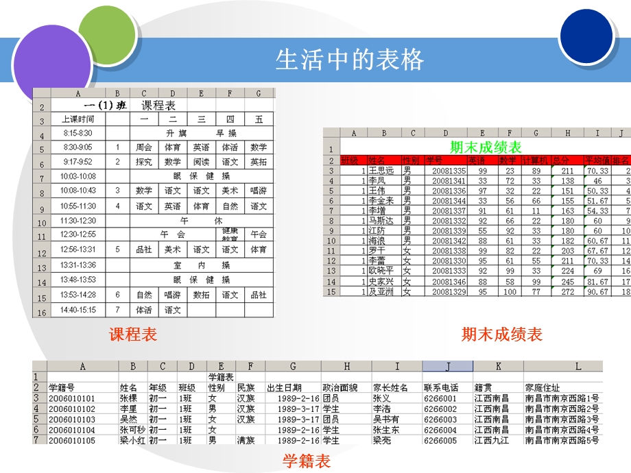 表格数据的排序与筛选演示PPT.ppt_第3页