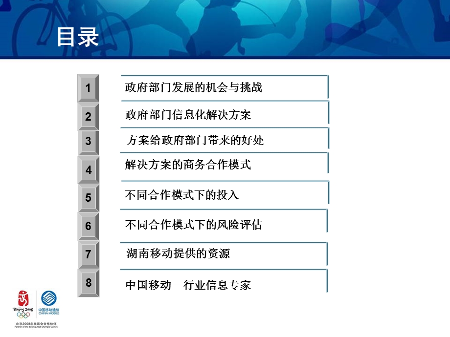 政府信息化建设建议书.ppt_第2页