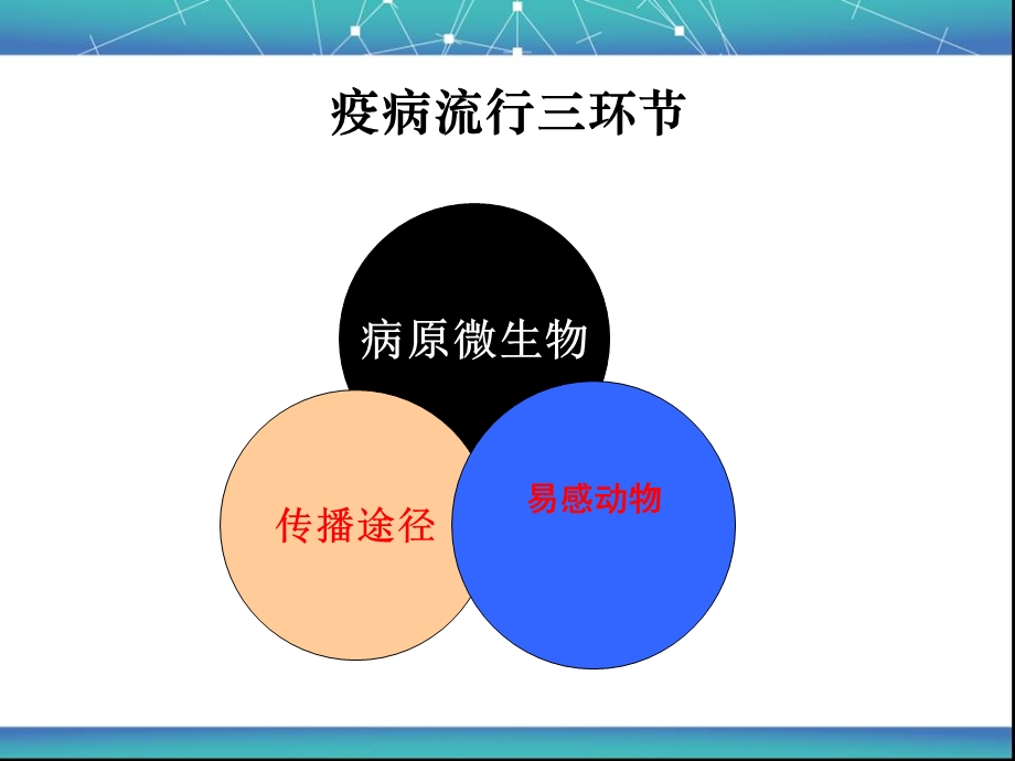 规模化猪场消毒方案1.ppt_第3页