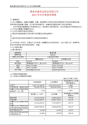 600243 青海华鼎半报摘要.ppt