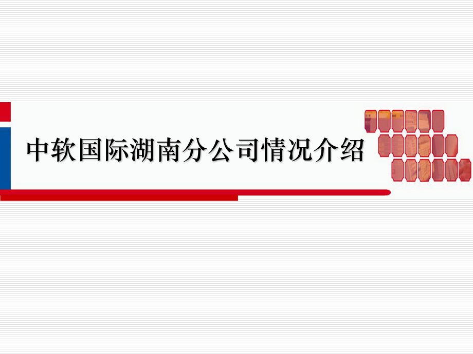 中软国际湖南分公司汇报材料.ppt_第1页