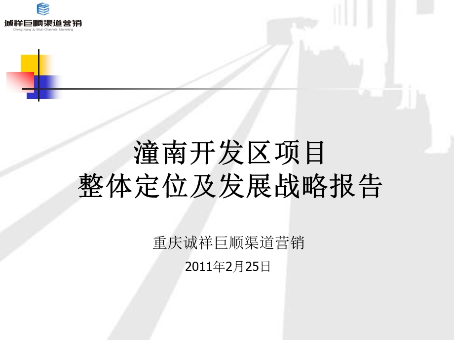 重庆潼南开发区房地产项目整体定位及发展战略报告155p.ppt_第1页