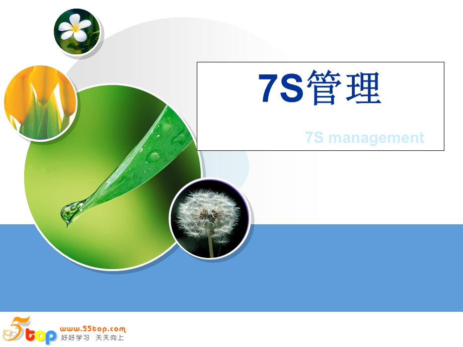 7S管理办法.ppt_第3页