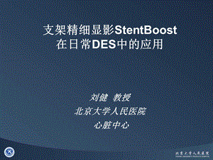 支架精细显影StentBoost在日常DES中的应用刘健.ppt