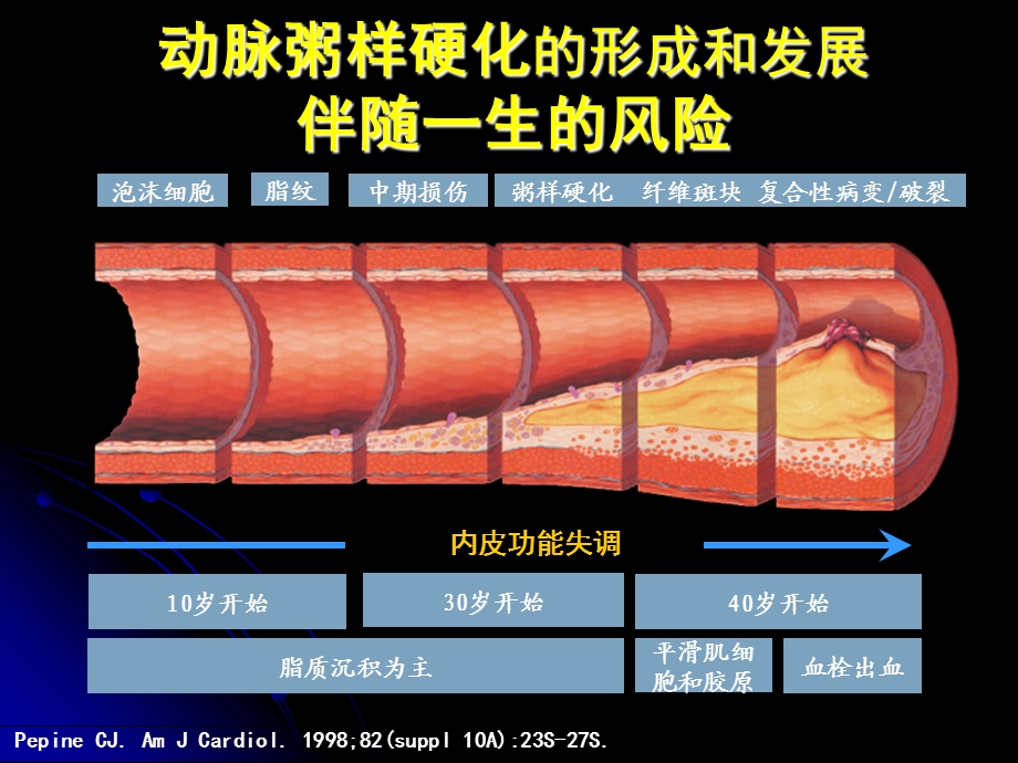 2013ESC稳定性冠心病指南.ppt_第2页