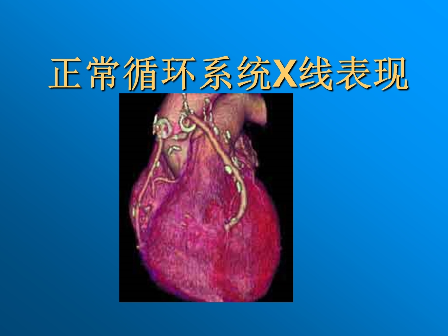心脏循环系统.ppt_第1页