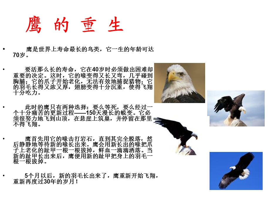 高档床垫销售营销法.ppt_第2页