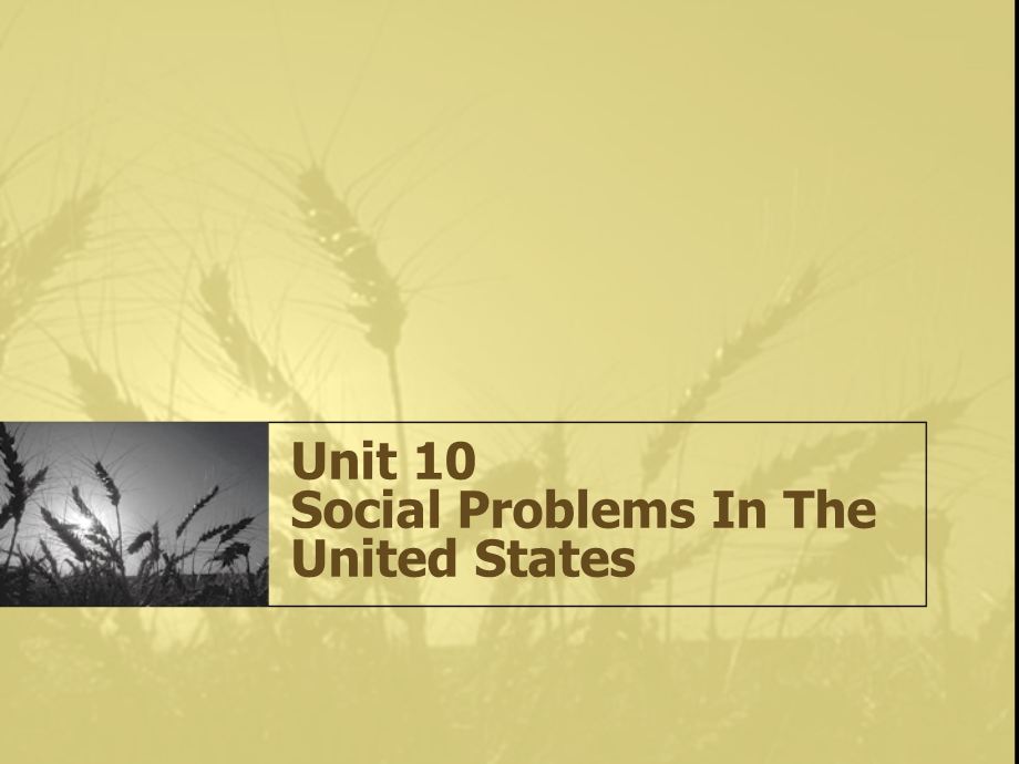 《英语国家社会与文化入门》Unit 10 Social Problems In The United States(8P).ppt_第1页