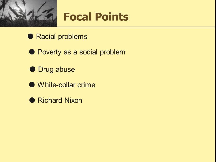 《英语国家社会与文化入门》Unit 10 Social Problems In The United States(8P).ppt_第2页