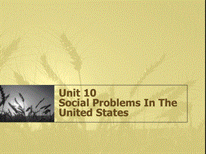 《英语国家社会与文化入门》Unit 10 Social Problems In The United States(8P).ppt