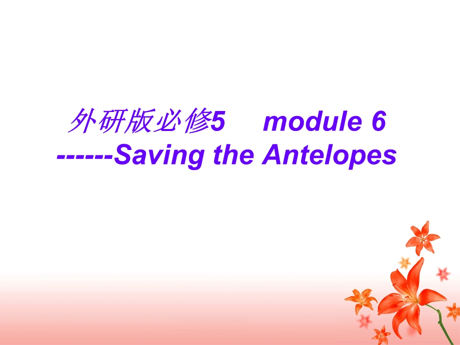 外研版高中英语必修5 module 6Saving the Antelopes课堂教学说课.ppt_第2页