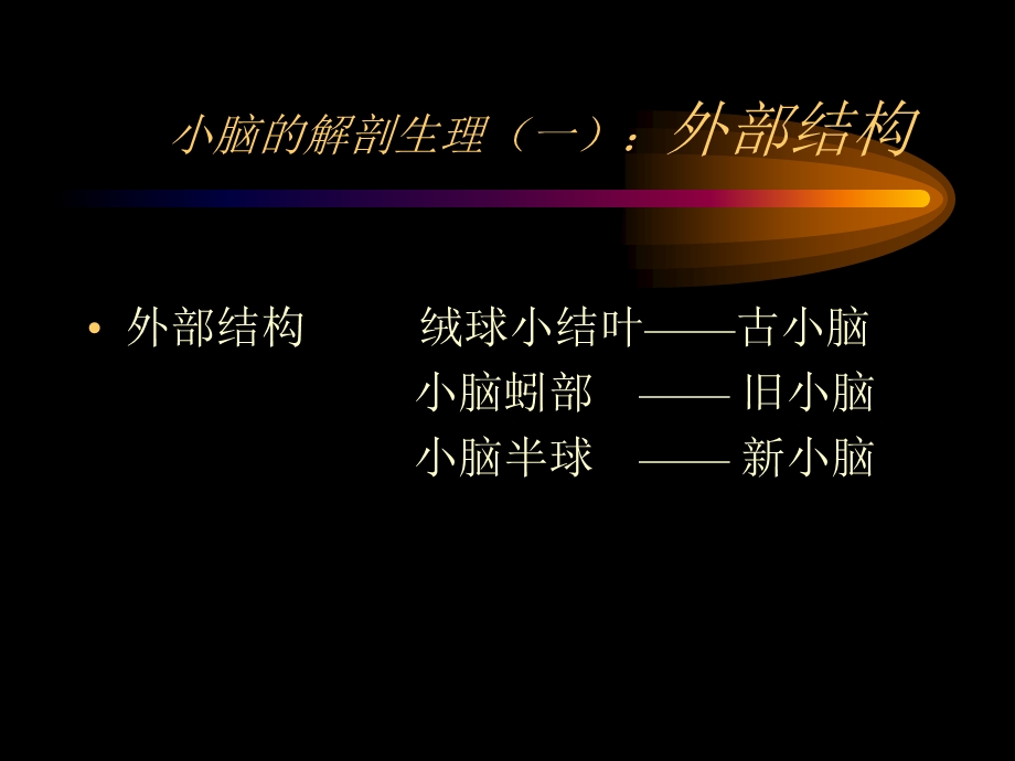 小脑定位诊断及疾病（周珂） .ppt_第3页