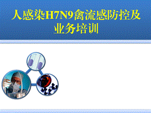 H7N9禽流感培训0402.ppt