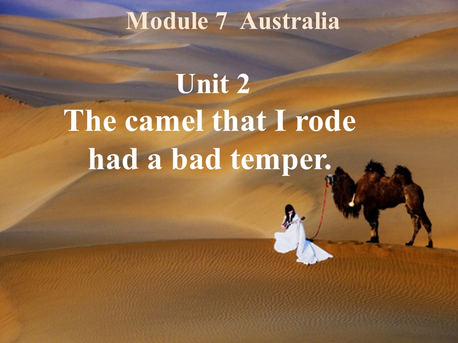 外研版九级上册英语课件：Module7 Australia Unit 2 The camel that I rode had a bad temper..ppt_第2页