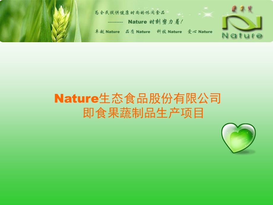 Nature生态食品股份有限公司即食果蔬制品生产项目策划方案.ppt_第1页