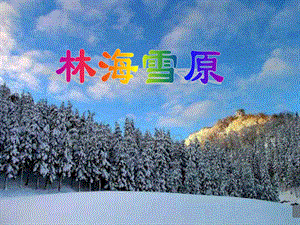 山东人民版小学五级品德与社会下册《林海雪原》课件2.ppt