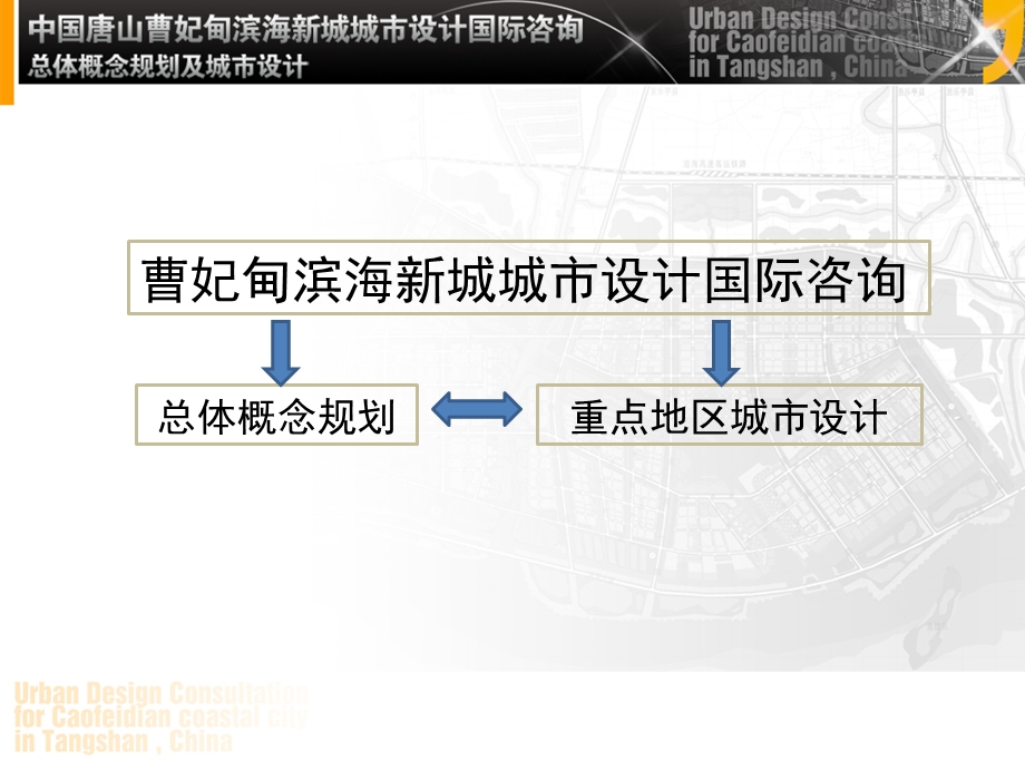 曹妃海新城城市设计国际咨询.ppt_第2页