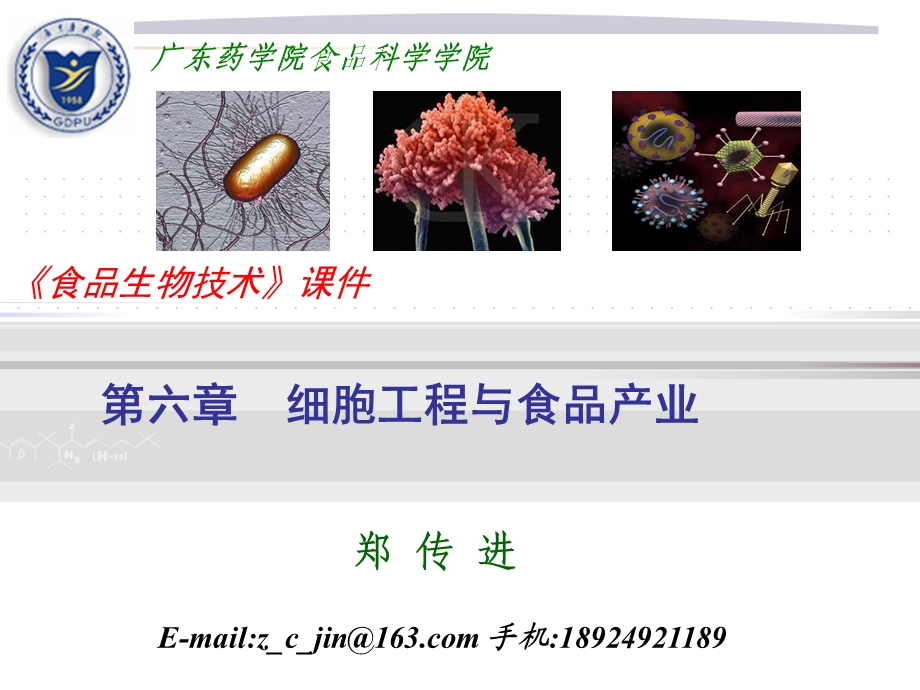 细胞工程与食品产业.ppt_第1页