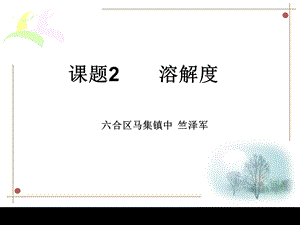 溶解度2课时.ppt