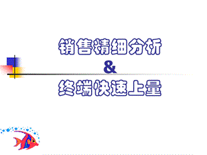 销售精细分析与终端快速上量讲课稿.ppt