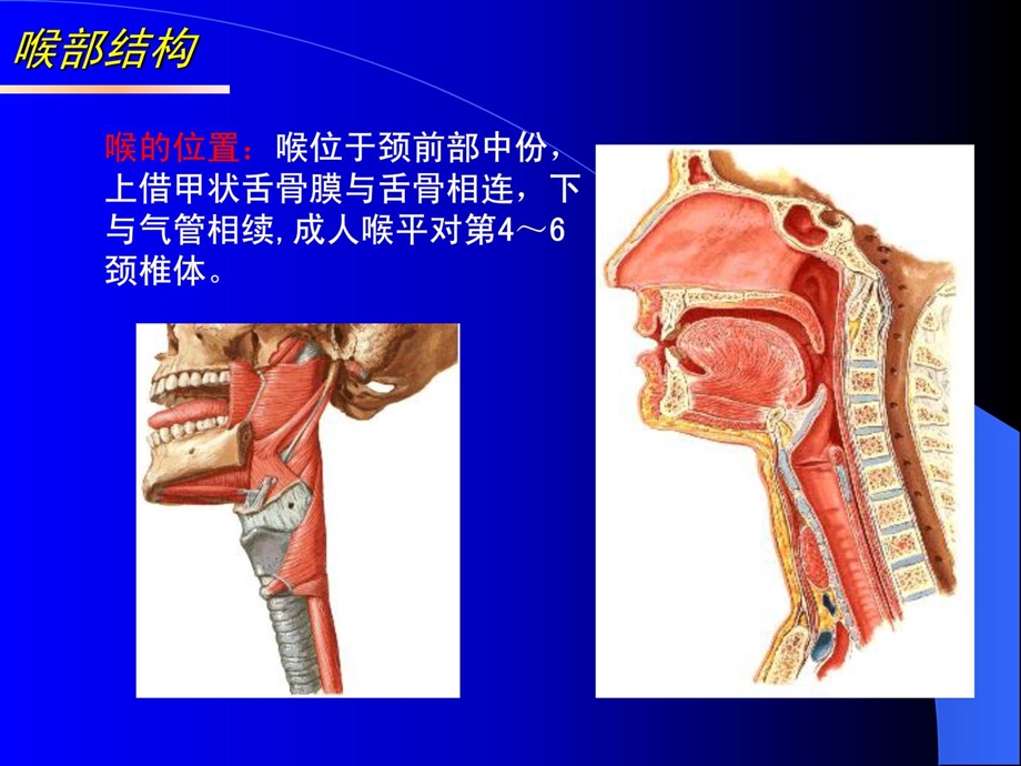 [最新]人工气道的建立与治理_1497599786.ppt_第3页