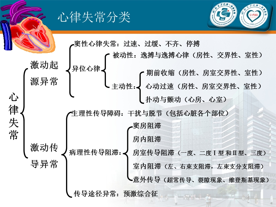 抗心律失常药物的合理使用.ppt_第3页