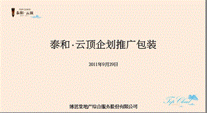 泰和·云顶企划推广包装96p.ppt