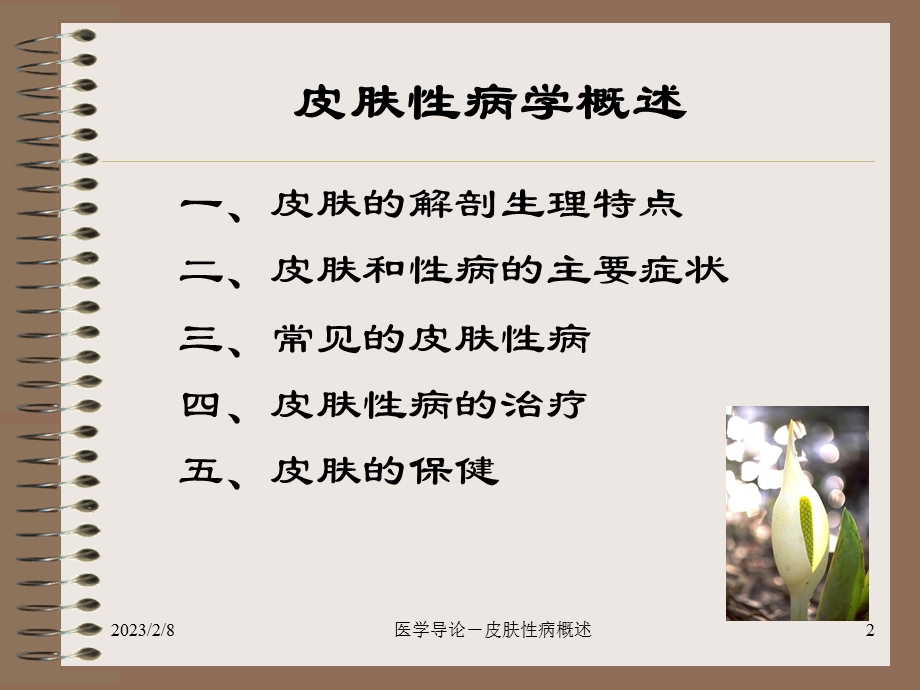 医学导论(皮肤).ppt_第2页