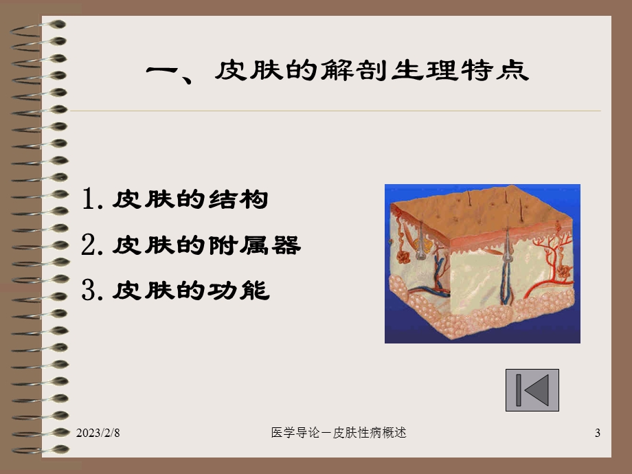 医学导论(皮肤).ppt_第3页