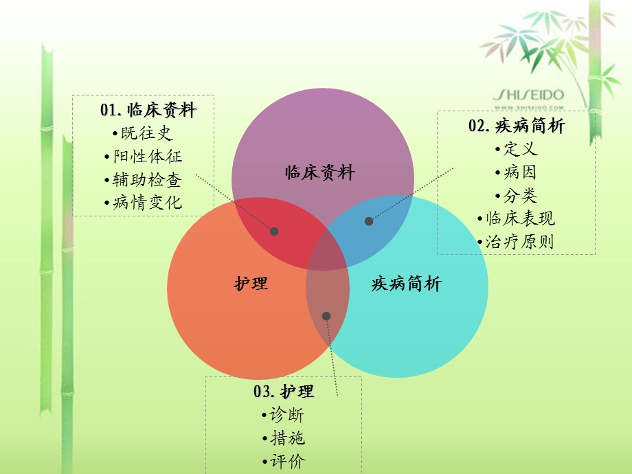 股骨颈骨折护理查房.ppt_第2页