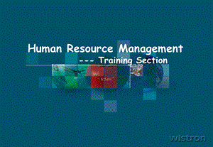Wistron管理培训体系Human Resource Management Training Section.ppt
