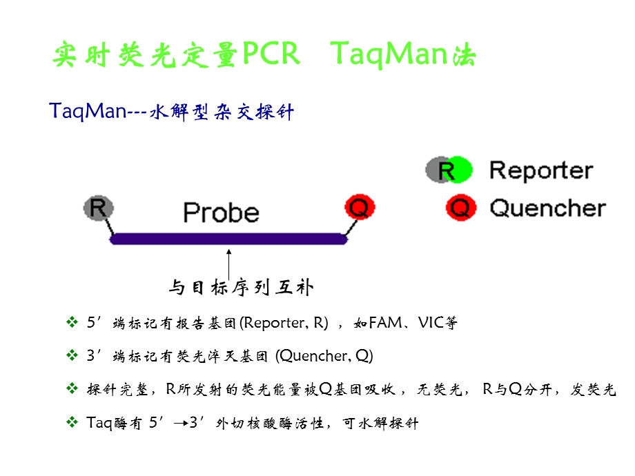 引物探针设计培训资料.ppt.ppt_第2页